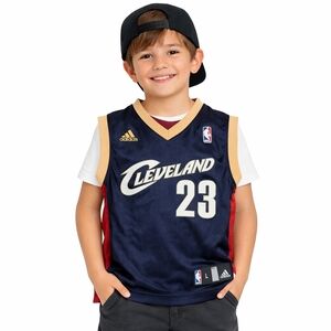 Adidas ($120) Cleveland Cavaliers LeBron James #23 Youth Basketball Jersey NBA